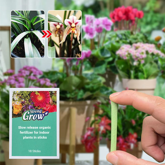 💥Last Day Promotion 49%OFF💥 Slow-Release Organic Fertilizer In Stick Form For Indoor Plants(BUY 5 GET 10 FREE)