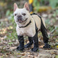 Waterproof boots for pets ❤️New Year Hot sale🚛